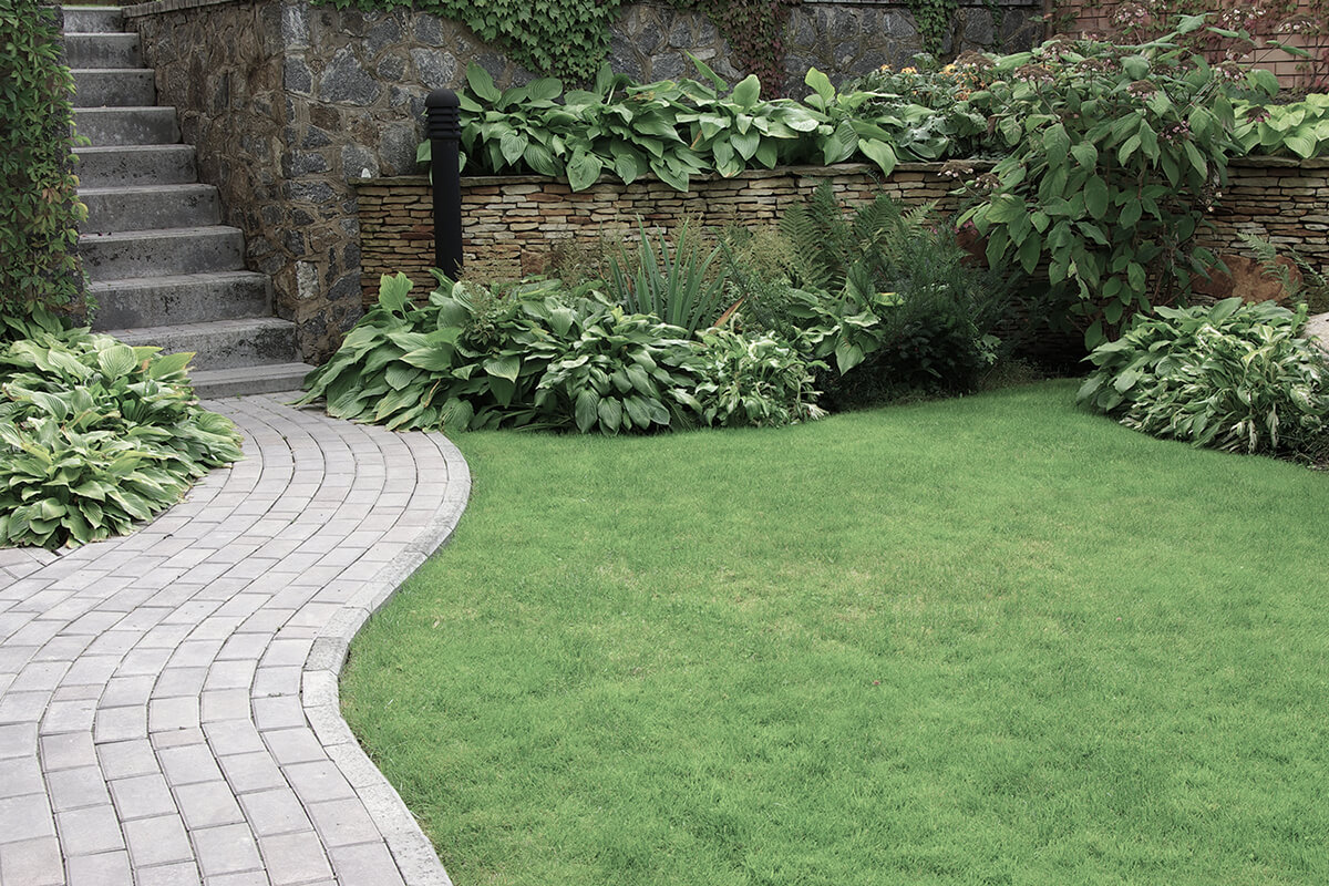 Welcome to C&C Landscaping